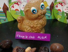 IMG_20200324_103946