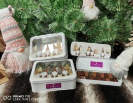 IMG_20221123_170200